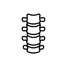 Coloana Vertebrală